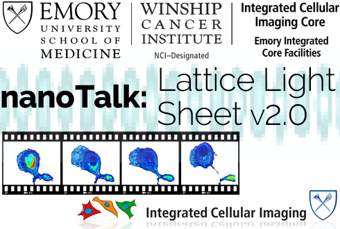 Promo image for Lattice Light Sheet presentation Thursday May 9, 2019 at noon